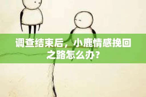 调查结束后，小鹿情感挽回之路怎么办？