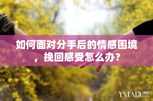 如何面对分手后的情感困境，挽回感受怎么办？