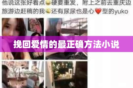 挽回爱情的最正确方法小说