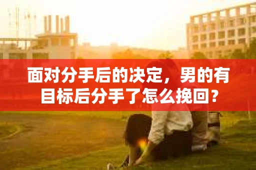 面对分手后的决定，男的有目标后分手了怎么挽回？