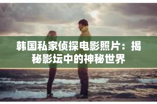 韩国私家侦探电影照片：揭秘影坛中的神秘世界