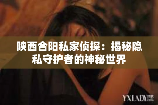 陕西合阳私家侦探：揭秘隐私守护者的神秘世界