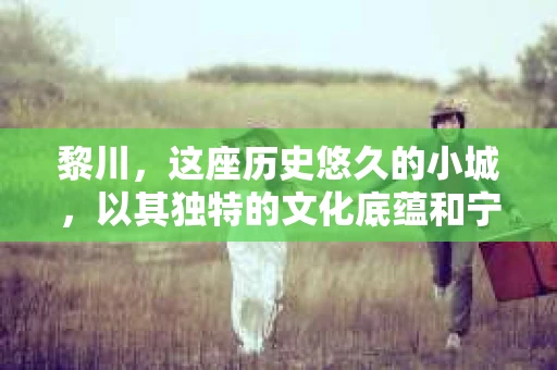 黎川，这座历史悠久的小城，以其独特的文化底蕴和宁静的生活节奏吸引着无数游客。然而，在这样一个看似平静的城市里，你是否会好奇，有没有私家侦探机构的存在呢？今天，就让我带你一探究竟。