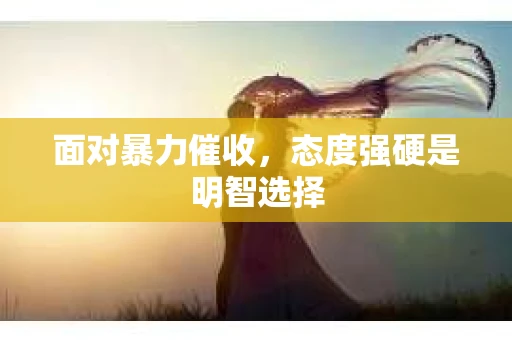面对暴力催收，态度强硬是明智选择