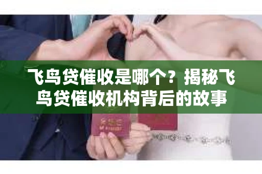 飞鸟贷催收是哪个？揭秘飞鸟贷催收机构背后的故事