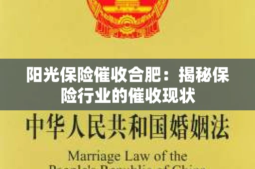 阳光保险催收合肥：揭秘保险行业的催收现状