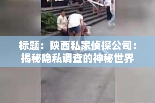 标题：陕西私家侦探公司：揭秘隐私调查的神秘世界