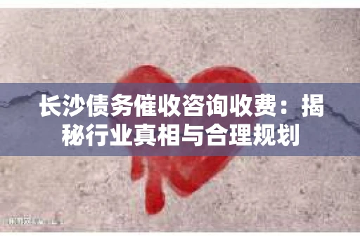 长沙债务催收咨询收费：揭秘行业真相与合理规划