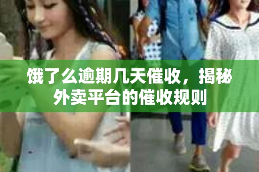 饿了么逾期几天催收，揭秘外卖平台的催收规则