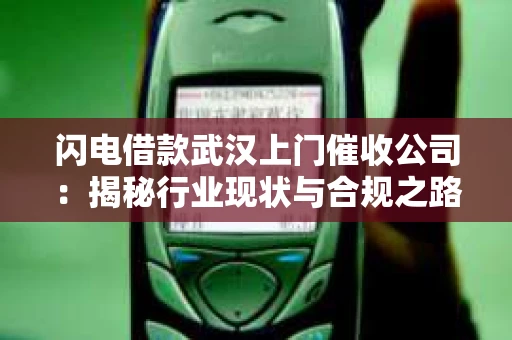 闪电借款武汉上门催收公司：揭秘行业现状与合规之路