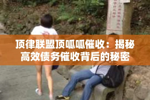 顶律联盟顶呱呱催收：揭秘高效债务催收背后的秘密