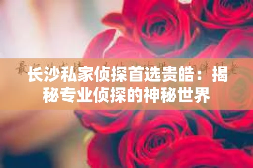 长沙私家侦探首选贵皓：揭秘专业侦探的神秘世界