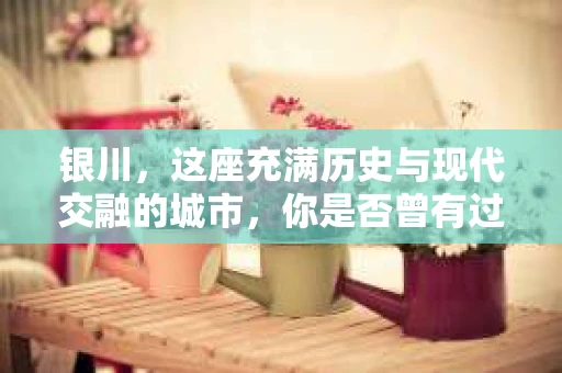 银川，这座充满历史与现代交融的城市，你是否曾有过这样的疑问：银川有私家侦探公司吗？今天，就让我带你一起揭开这个谜团。