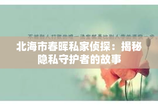 北海市春晖私家侦探：揭秘隐私守护者的故事
