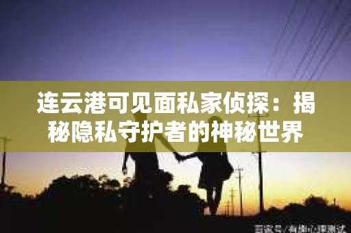 连云港可见面私家侦探：揭秘隐私守护者的神秘世界