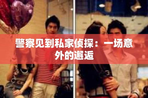 警察见到私家侦探：一场意外的邂逅