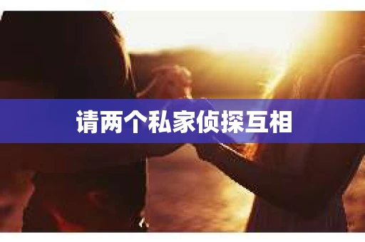 请两个私家侦探互相