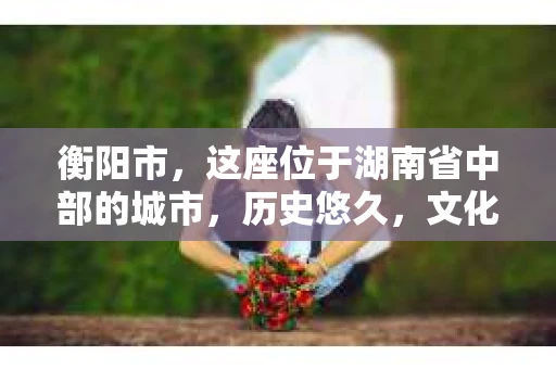 衡阳市，这座位于湖南省中部的城市，历史悠久，文化底蕴深厚。随着社会的发展，人们对于个人隐私的保护意识逐渐增强，私家侦探机构也应运而生。那么，衡阳市是否有私家侦探机构呢？今天，我们就来聊聊这个话题。