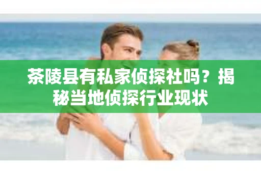 茶陵县有私家侦探社吗？揭秘当地侦探行业现状