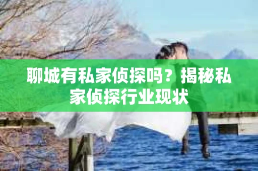 聊城有私家侦探吗？揭秘私家侦探行业现状