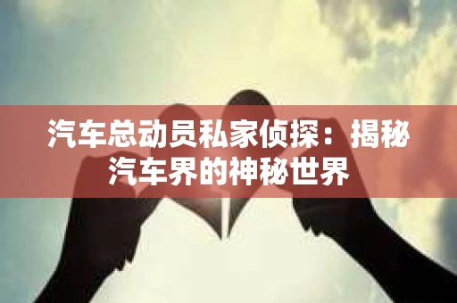 汽车总动员私家侦探：揭秘汽车界的神秘世界