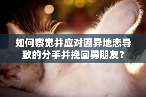 如何察觉并应对因异地恋导致的分手并挽回男朋友？