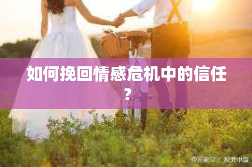 如何挽回情感危机中的信任? 如何挽回情感危机中的信任?