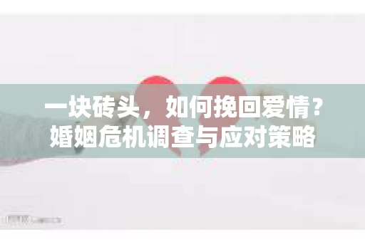 一块砖头，如何挽回爱情？婚姻危机调查与应对策略