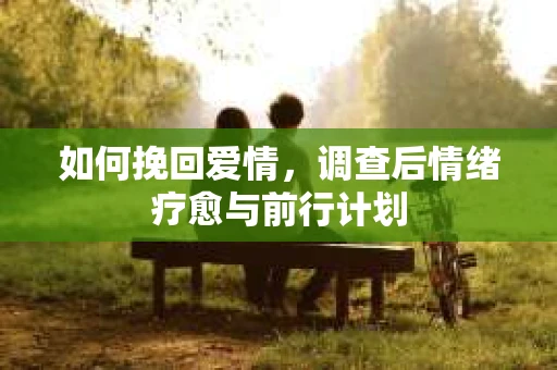 如何挽回爱情，调查后情绪疗愈与前行计划