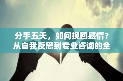 分手五天，如何挽回感情？从自我反思到专业咨询的全面解决方案