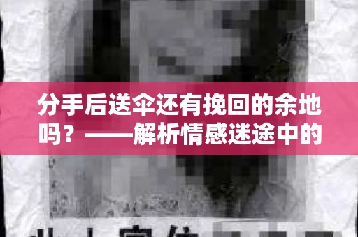 分手后送伞还有挽回的余地吗？——解析情感迷途中的决策
