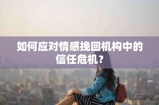 如何应对情感挽回机构中的信任危机？