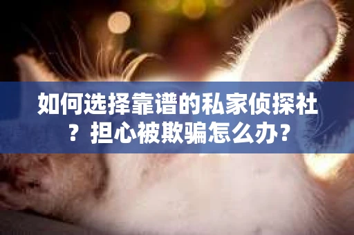 如何选择靠谱的私家侦探社？担心被欺骗怎么办？
