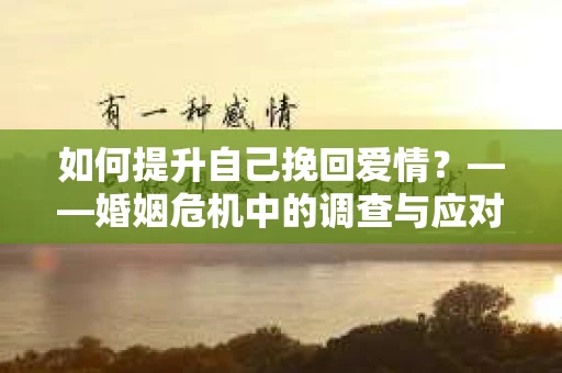 如何提升自己挽回爱情？——婚姻危机中的调查与应对策略